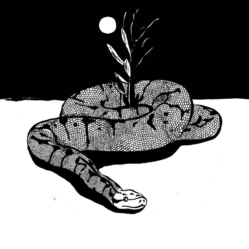 Here Hare Here - Schwarztor